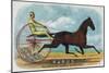 Rarus Brand Cigar Box Label, Horse Racing-Lantern Press-Mounted Art Print