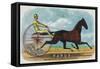 Rarus Brand Cigar Box Label, Horse Racing-Lantern Press-Framed Stretched Canvas