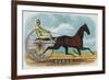 Rarus Brand Cigar Box Label, Horse Racing-Lantern Press-Framed Art Print