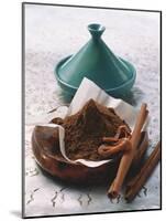 Ras El Hanout (Moroccan Spice Mixture)-Eising Studio - Food Photo and Video-Mounted Photographic Print