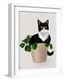 Rascal Cat II-Tara Royle-Framed Art Print