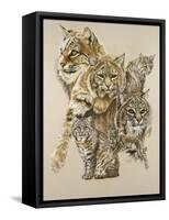 Rascal-Barbara Keith-Framed Stretched Canvas