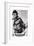 Rashomon, Swiss Poster Art, from Left: Toshiro Mifune, Machiko Kyo, 1950-null-Framed Giclee Print