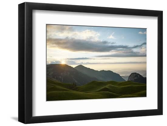 Premium Photographic Print, , large