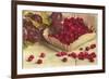 Raspberries and Plums-null-Framed Premium Giclee Print