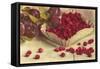 Raspberries and Plums-null-Framed Stretched Canvas