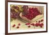 Raspberries and Plums-null-Framed Art Print