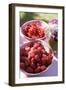Raspberries and Redcurrants on a Table in the Open Air-Eising Studio - Food Photo and Video-Framed Photographic Print