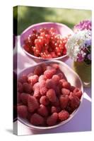 Raspberries and Redcurrants on a Table in the Open Air-Eising Studio - Food Photo and Video-Stretched Canvas