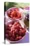 Raspberries and Redcurrants on a Table in the Open Air-Eising Studio - Food Photo and Video-Stretched Canvas