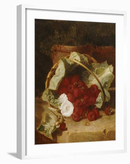 Raspberries in a Cabbage Leaf Lined Basket with White Convulus on a Stone Ledge, 1880-Eloise Harriet Stannard-Framed Giclee Print