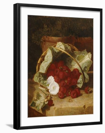 Raspberries in a Cabbage Leaf Lined Basket with White Convulus on a Stone Ledge, 1880-Eloise Harriet Stannard-Framed Giclee Print