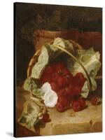 Raspberries in a Cabbage Leaf Lined Basket with White Convulus on a Stone Ledge, 1880-Eloise Harriet Stannard-Stretched Canvas