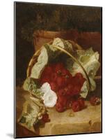 Raspberries in a Cabbage Leaf Lined Basket with White Convulus on a Stone Ledge, 1880-Eloise Harriet Stannard-Mounted Giclee Print