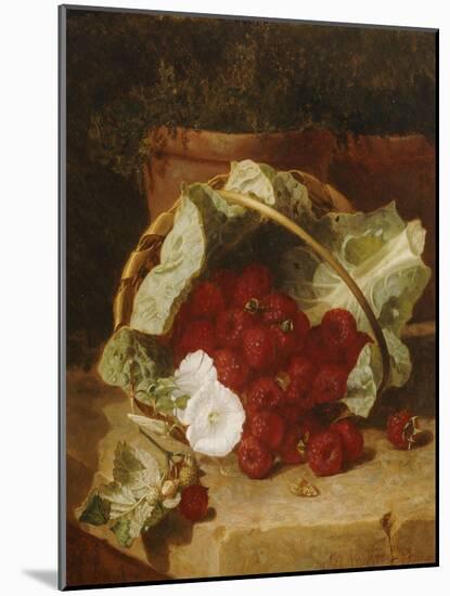 Raspberries in a Cabbage Leaf Lined Basket with White Convulus on a Stone Ledge, 1880-Eloise Harriet Stannard-Mounted Giclee Print