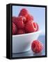 Raspberries in a Small Bowl-Franck Bichon-Framed Stretched Canvas