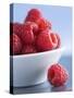 Raspberries in a Small Bowl-Franck Bichon-Stretched Canvas