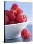 Raspberries in a Small Bowl-Franck Bichon-Stretched Canvas