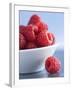 Raspberries in a Small Bowl-Franck Bichon-Framed Photographic Print