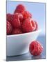 Raspberries in a Small Bowl-Franck Bichon-Mounted Photographic Print