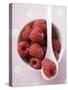 Raspberries in Small Bowl with Spoon-null-Stretched Canvas
