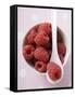 Raspberries in Small Bowl with Spoon-null-Framed Stretched Canvas