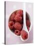 Raspberries in Small Bowl with Spoon-null-Stretched Canvas