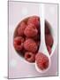 Raspberries in Small Bowl with Spoon-null-Mounted Photographic Print