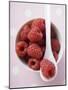 Raspberries in Small Bowl with Spoon-null-Mounted Photographic Print