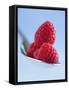 Raspberries on a Spoon-Franck Bichon-Framed Stretched Canvas