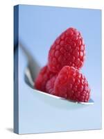 Raspberries on a Spoon-Franck Bichon-Stretched Canvas