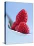 Raspberries on a Spoon-Franck Bichon-Stretched Canvas