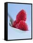 Raspberries on a Spoon-Franck Bichon-Framed Stretched Canvas