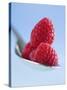 Raspberries on a Spoon-Franck Bichon-Stretched Canvas