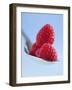 Raspberries on a Spoon-Franck Bichon-Framed Photographic Print