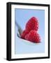 Raspberries on a Spoon-Franck Bichon-Framed Photographic Print