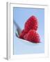 Raspberries on a Spoon-Franck Bichon-Framed Photographic Print