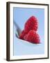 Raspberries on a Spoon-Franck Bichon-Framed Photographic Print