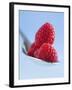 Raspberries on a Spoon-Franck Bichon-Framed Photographic Print