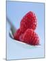 Raspberries on a Spoon-Franck Bichon-Mounted Photographic Print