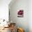 Raspberries on a Wooden Surface-Martina Schindler-Mounted Photographic Print displayed on a wall