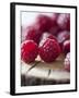 Raspberries on a Wooden Surface-Martina Schindler-Framed Photographic Print