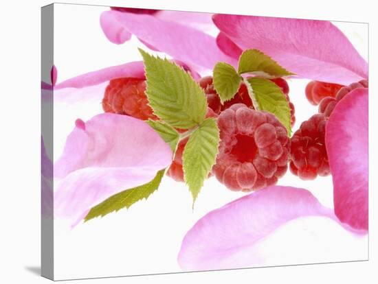 Raspberries with Leaves and Flower Petals-Simon Krzic-Stretched Canvas