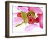 Raspberries with Leaves and Flower Petals-Simon Krzic-Framed Photographic Print