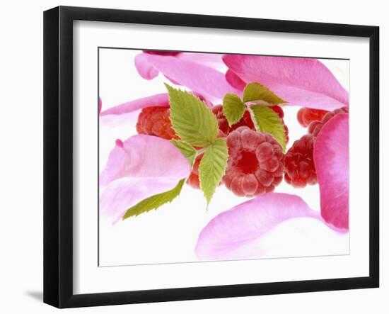 Raspberries with Leaves and Flower Petals-Simon Krzic-Framed Photographic Print