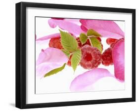 Raspberries with Leaves and Flower Petals-Simon Krzic-Framed Photographic Print