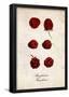 Raspberries-null-Framed Poster