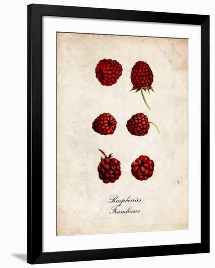 Raspberries-null-Framed Art Print