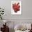 Raspberries-Jon Stokes-Framed Photographic Print displayed on a wall