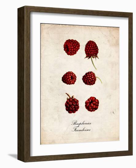 Raspberries-null-Framed Art Print